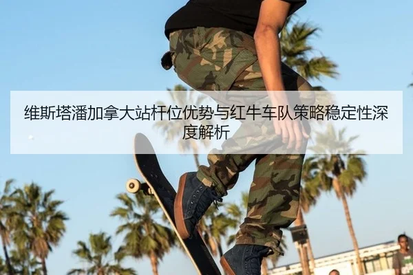wei-si-ta-pan-jia-na-da-zhan-gan-wei-you-shi-yu-hong-niu-che-dui-ce-lve-wen-ding-xing-shen-du-jie-xi-3-925.jpg