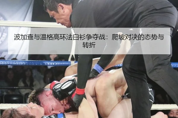 波加查与温格高环法白衫争夺战：爬坡对决的态势与转折