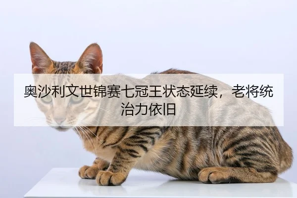 奥沙利文世锦赛七冠王状态延续，老将统治力依旧